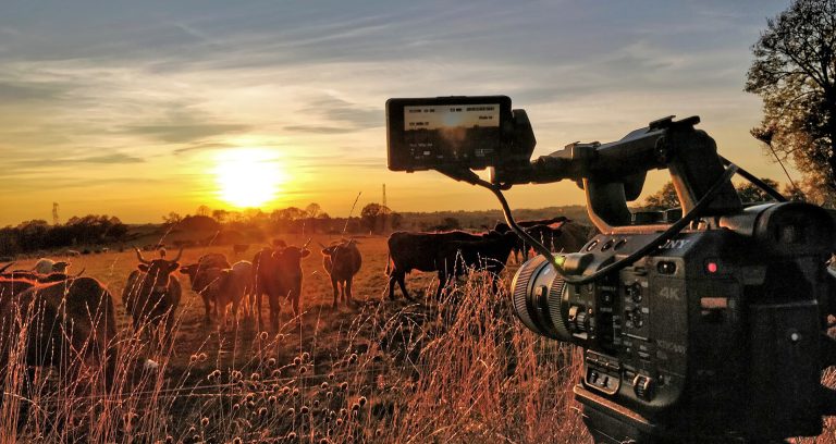 Léo Médias Productions